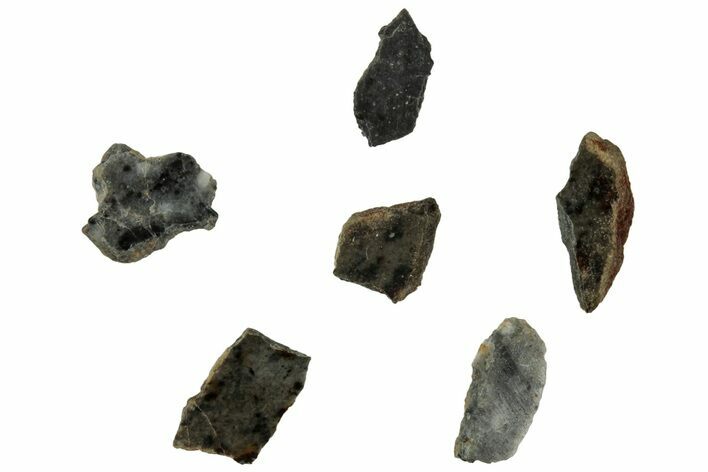 Lunar Meteorite Fragments ( g) - Bechar #313029